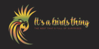 Its a Bird Thing (Northampton & District Youth Alliance League )