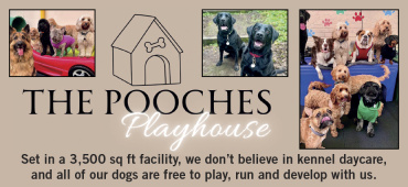 The Pooches Playhouse