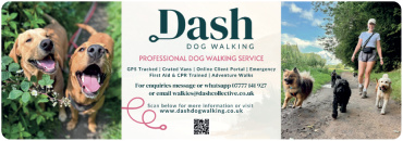 DASH Dog Walking